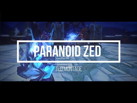 ZED MONTAGE 8 | PARANOID ZED | 2019