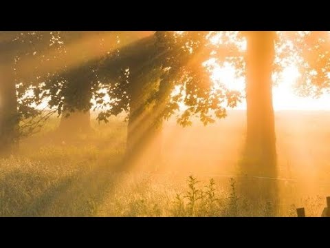 my dear arthur - not a lot, just forever (lyrics + looped)