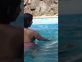 Natasha Rajeshwari Natasharajeshwari Ytshorts Shorts Bollywood