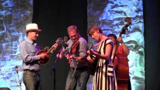 Been All Around This World - Foghorn Stringband at CBA Festival