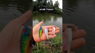 Download lagu 3 types of Hampala lure casting you must have! #shorts #shortsfishing #shortvideo mp3