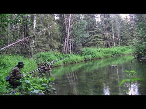 Рыбалка на таёжной речке #178