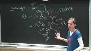 17. PK and NRP Synthases 3