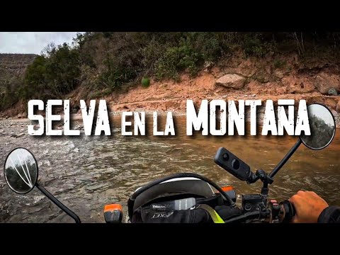 Exploring the Yungas Jujuy region where no one goes [Chapter 28]