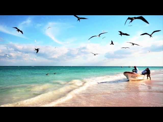 Tara Putra - Dubland Coastline (Remix Stems)