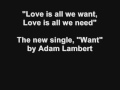 Adam Lambert- Want