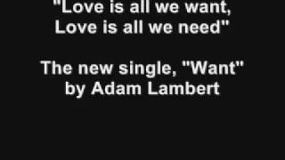 Adam Lambert- Want