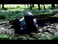 Moth's Wings - Passion Pit (Music Video) 