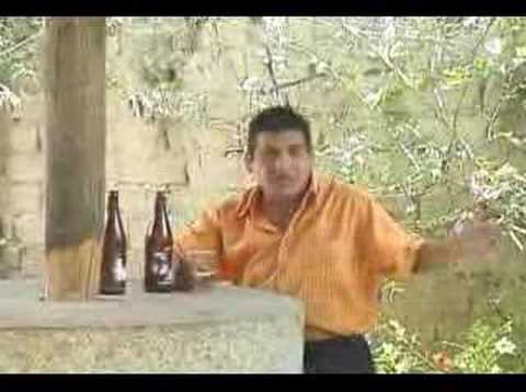 pepe minaya - borracho