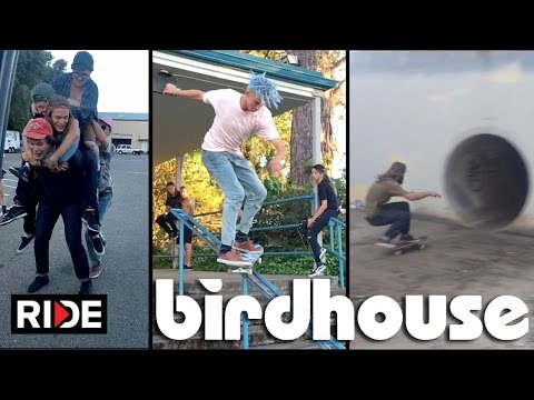 Reproducir vídeo
