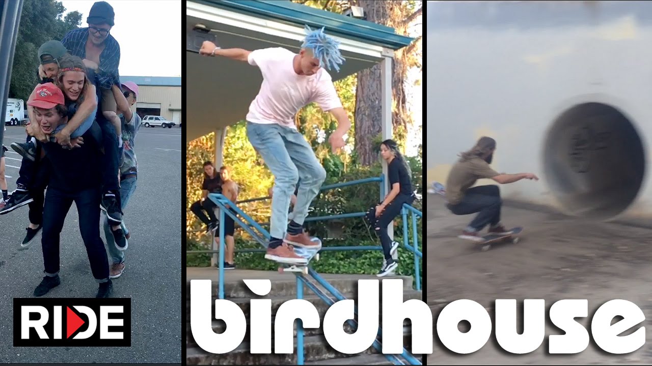 Las locuras de Birdhouse - Show 5