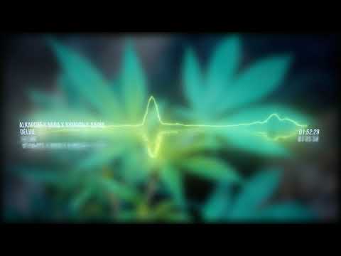 Alkapoze x Niida x Xymoon x Juhnn - Délire (Cover Video)