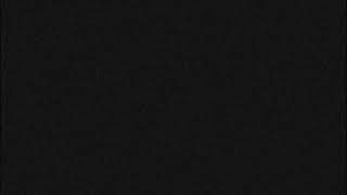 Robbie`s Marina- Islamorada