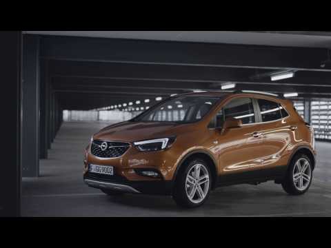 O PREFERIDO DAS SUAS COSTAS.