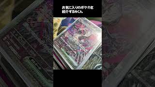 お気に入りのポケカを紹介するNくん【4月の新学期だよNくん配信】#岡本信彦 #shorts #声優 #ポケカ