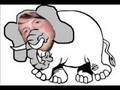MAXWELL THE ELEPHANT
