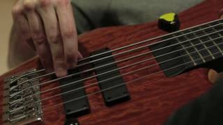 HAKEN - Earthrise (Bass Playthrough)