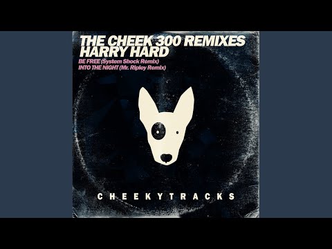 Into The Night (Mr Ripley 'Cheek300' Remix)