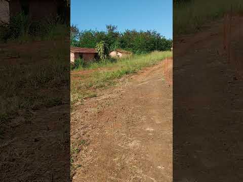 20 de julho de 2026. coluna abandonada, Japurá PR.