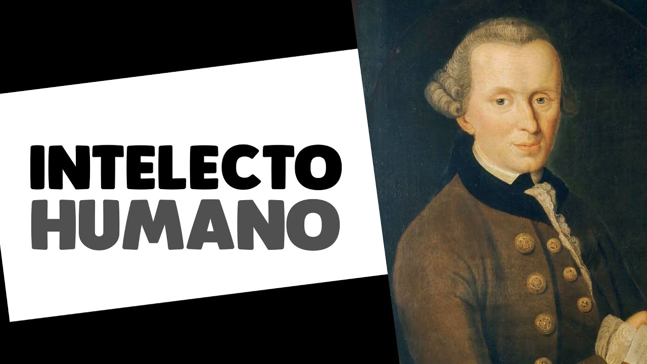Lógica transcendental de Immanuel Kant | Filosofia Moderna | História da Filosofia