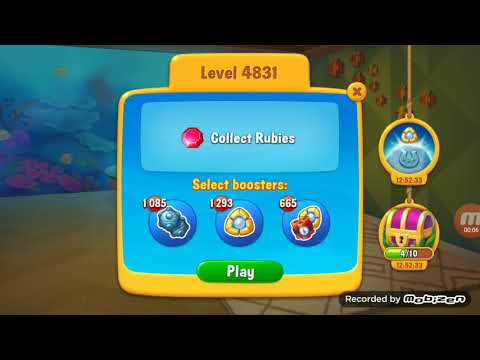 Collect  Rubies-4831