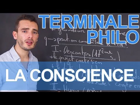 Consciousness - Philosophy - Final Year - Good Teachers