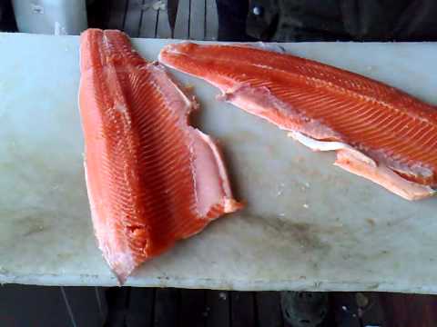 kylmäsavulohen teko osa 1