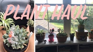 plant products haul