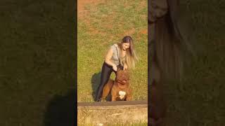 Cute And Funny Dog Video #Shorts #19
