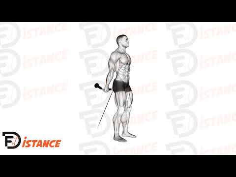 Curl de poignet arrière à la poulie basse - Exercice Curl de poignet arrière à la poulie basse en vidéo Curl de poignet arrière à la poulie basse - Exercice Curl de poignet arrière à la poulie basse en vidéo