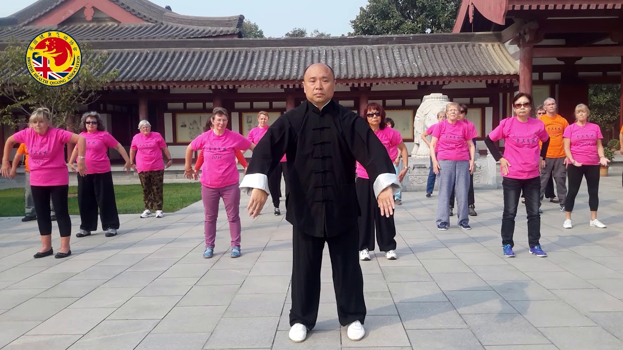 Ma Wang Dui Dao Yin Shu - Health Qigong®