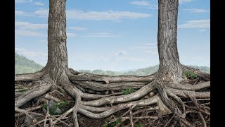 מאיפוא באתי🏡▪️הרב נחמנסון▪️(כמה רגעים  תורה) (הרב יהודה לייב נחמנסון) - התמונה מוצגת ישירות מתוך אתר האינטרנט יוטיוב. זכויות היוצרים בתמונה שייכות ליוצרה. קישור קרדיט למקור התוכן נמצא בתוך דף הסרטון