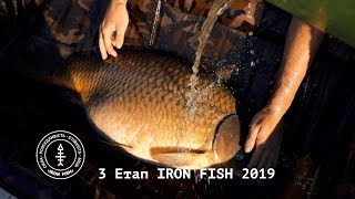 Карп весом 22кг на фидер! Водоем Марьевка. Часть 2 | #IronFish 2019