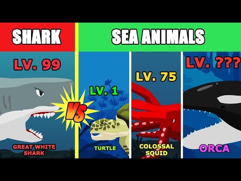 Great White Shark vs Sea Animals Level Challenge [S1] | Animal Animation