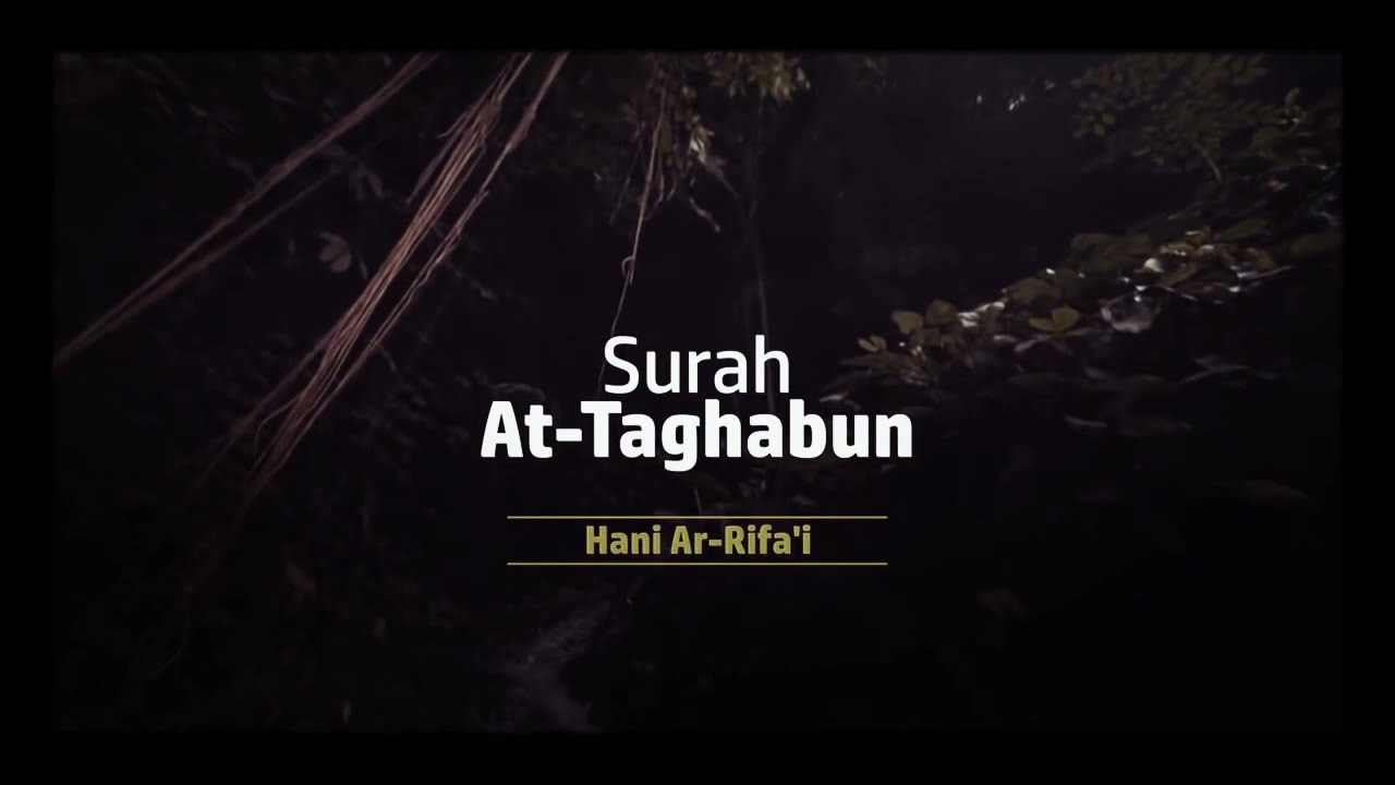 Surah At Taghabun The Manifestation Of Losses surah-at-taghabun-the-manifestation-of-losses