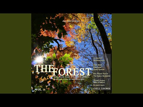 This Is My Dream (By My Side Vocal Mix)