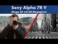 Sony Alpha 7R V Auflösungs Flaggschiff A7RV Mit KI Autofokus Im Test Deutsch