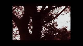 Empyrium...Ode To Melancholy /When Shadows Grow Longer(home video)