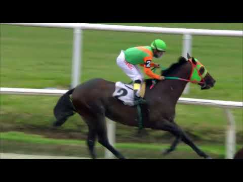 220227 c06 BAR AROCENA