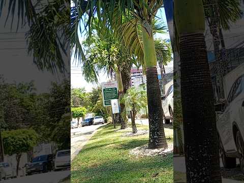 área adotada prefeitura do Natal