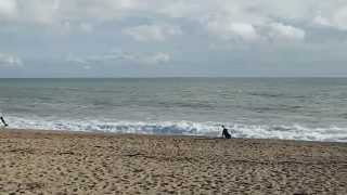 Devon South Hams Blackpool Sands Beach Dartmouth England