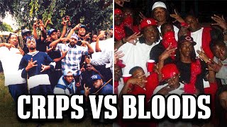 The Deadliest Gang War: Bloods vs. Crips (90s LA History)