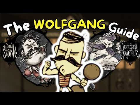 The Complete WOLFGANG Guide