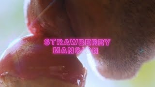 STRAWBERRY MANSION | Exclusive Clip #1 (Ice Cream Cone) | In Theaters February 18