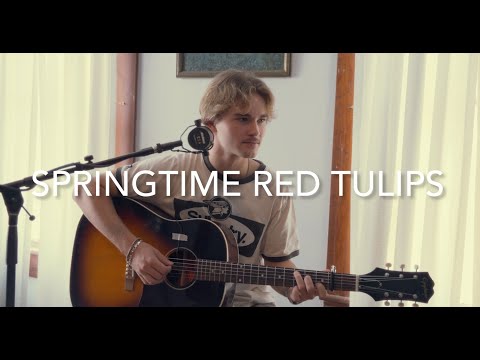 Springtime Red Tulips - Bo Staloch