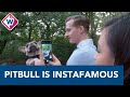 Hondje Po heeft duizenden volgers op Instagram - OMROEP WEST