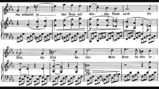 Franz Schubert - Winterreise