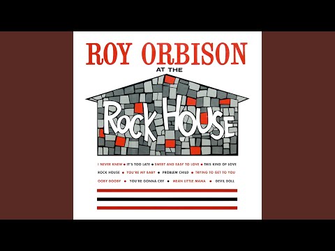 I Never Knew - Roy Orbison