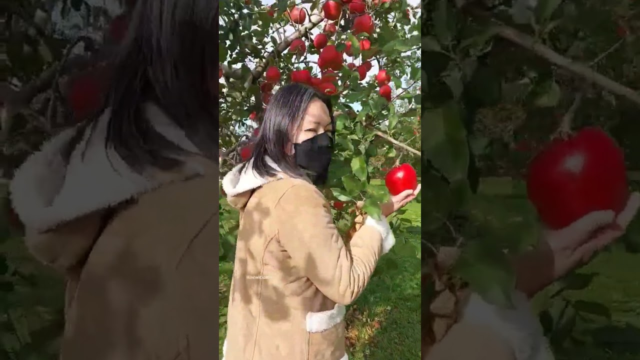 YouTube Short thumbnail