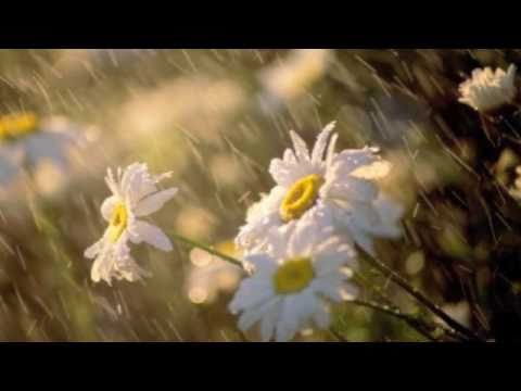 Desça Como A Chuva video
